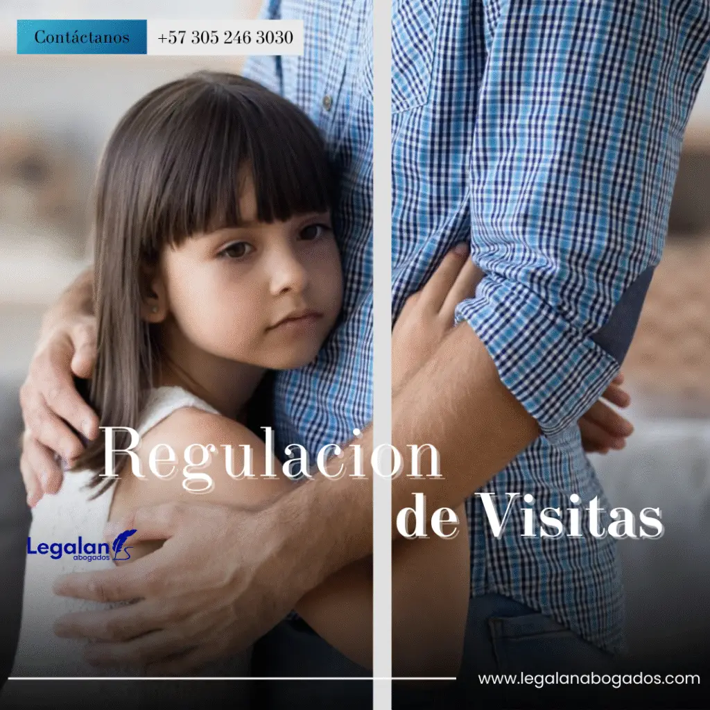 Regulación de Visitas de los niños
